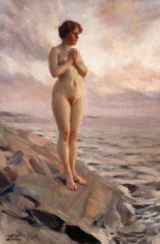 Anders Zorn Female Nude China oil painting art